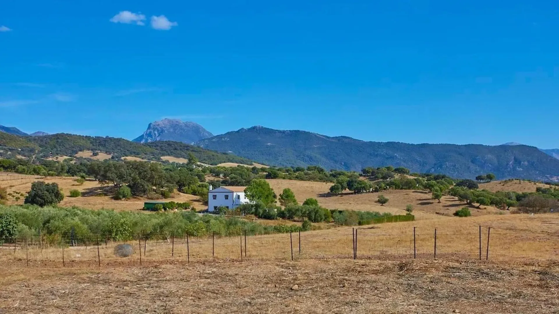 Luxurious Villa In Prado Del Rey With Pool